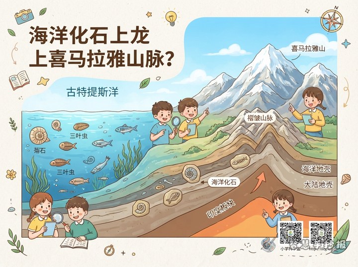 喜马拉雅山为什么会有海洋化石？板块碰撞造山手抄报素材 - 相关内容封面